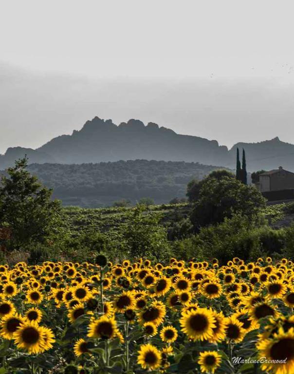 Chambres D'Hotes Aux Tournesols Malaucène Екстериор снимка